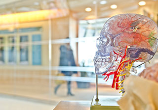 Trigeminal Nerve Pain